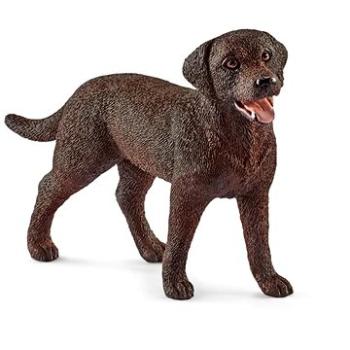 Schleich 13834 Zvieratko – fena retrievera (4055744012556)