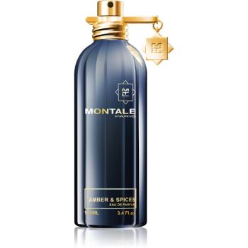 Montale Amber & Spices parfumovaná voda unisex 100 ml