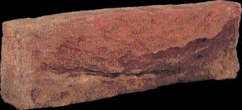 Obklad Vaspo tehlovka terakota 6x20,5 cm reliéfna V56002