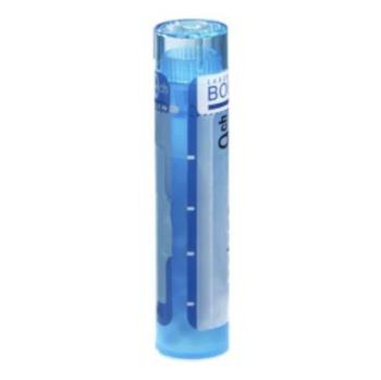 BOIRON Cina CH9 4 g