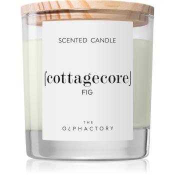 Ambientair The Olphactory Fig vonná sviečka Cottagecore 200 g