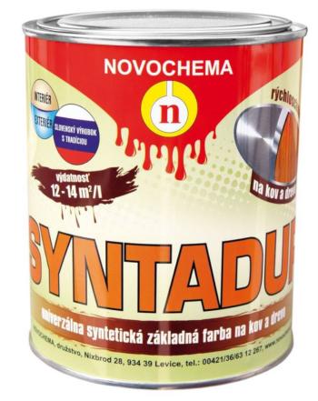 NOVOCHEMA S 2000 SYNTADUR - základná syntetická farba 10 kg 0110 - šedá