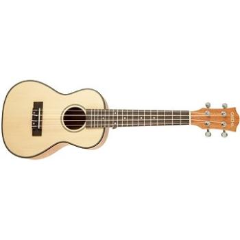 CASCHA HH 2151 Concert Mahogany Ukulele Sada (HN217267)