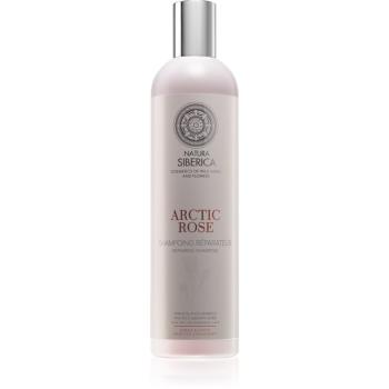 Natura Siberica Copenhagen Arctic Rose regeneračný šampón pre suché a poškodené vlasy 400 ml