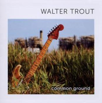 TROUT, WALTER - COMMON GROUND, CD