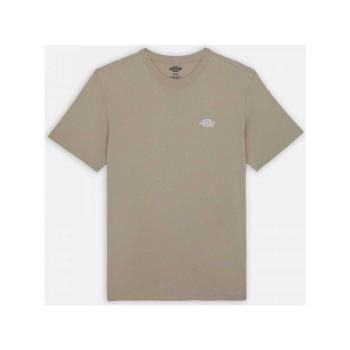 Dickies  Summerdale tee ss  Tričká a polokošele Béžová