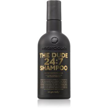 Waterclouds The Dude Shampoo šampón pre každodenné umývanie vlasov 250 ml