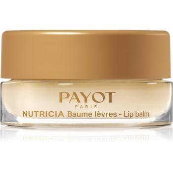 Payot Nutricia Baume Lèvres Cocoon balzam na pery pre výživu a hydratáciu 6 g