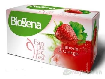 Biogena Fantastic Tea Jahoda & Ginkgo bylinný čaj 20x2g