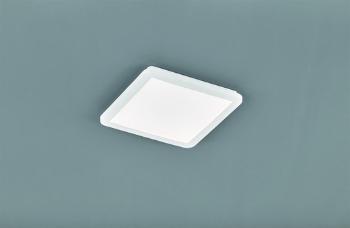 LED stropné osvetlenie Reality Camillus biela RE R62931801