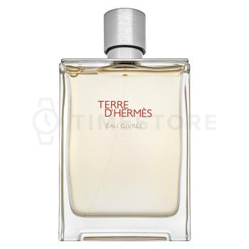 Hermès Terre d’Hermès Eau Givrée - Refillable parfémovaná voda pre mužov 175 ml - 30 dní na vrátenie tovaru, Garancia originality