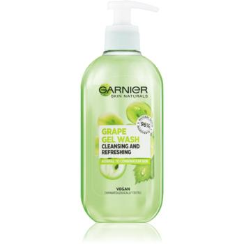 Garnier Botanical čiastiaci penivý gél pre normálnu až zmiešanú pleť 200 ml