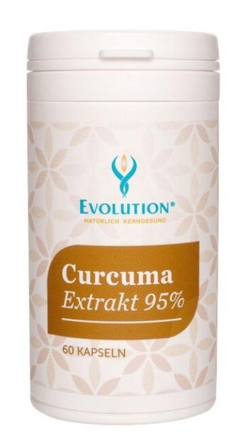 Curcuma Extrakt 95% - Evolution