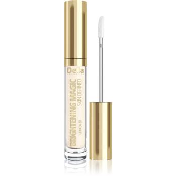 Delia Cosmetics Brightening Magic Skin Defined rozjasňujúci korektor odtieň 06 Nude 2.5 ml