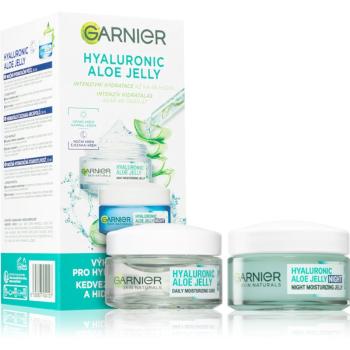Garnier Hyaluronic Aloe Jelly sada pre starostlivosť o pleť na deň aj noc