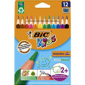 BIC Evolution trojhranné 12 farieb (3086124001632)