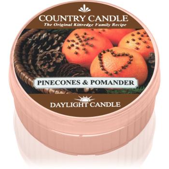 Country Candle Pinecone & Pomander čajová sviečka 42 g