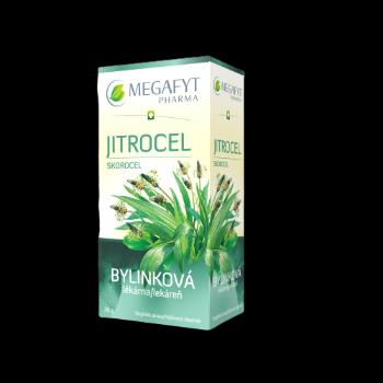 MEGAFYT Bylinková lekáreň Skorocel 20 x 1.5 g