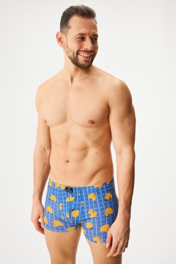 Bavlnené boxerky Kevin Kačičky II