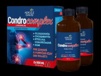 ADELLE DAVIS CondroComplex , lipozomalna kĺbová výživa 2 x 500 ml