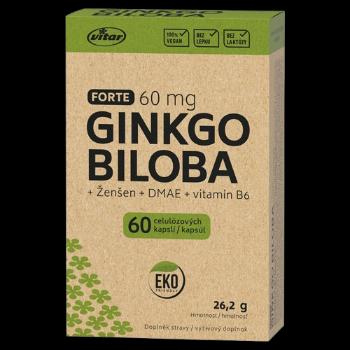 VITAR EKO Ginkgo biloba 60mg + DMAE + Vitamín B6, 60 kapsúl