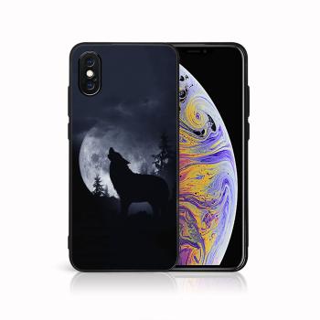 MY ART Ochranný kryt pre Apple iPhone X / XS WOLF (247)