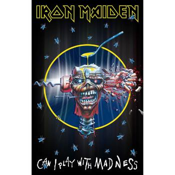 Iron Maiden Can I Play With Madness