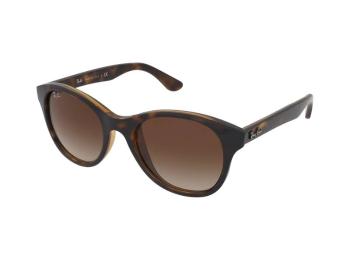 Ray-Ban RB4203 710/13