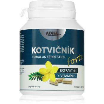 Adiel Kotvičník + vitamin E forte bylinné kapsuly na podporu hormonálnej rovnováhy 90 cps