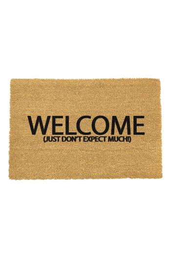 Rohožka Artsy Doormats Welcome Collection Welcome Collection