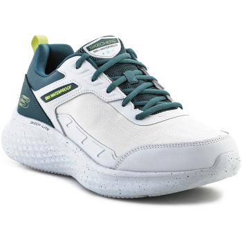 Skechers  Skech-Lite Pro-Ankkor 232958-GYGR Gray/Green  Nízke tenisky Viacfarebná