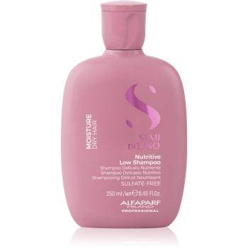 Alfaparf Milano Semi di Lino Moisture šampón pre suché vlasy 250 ml