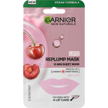 Garnier Maska na pery Skin Natura l s (Replump Mask) 5 g