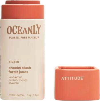 ATTITUDE Oceanly Tuhá krémová tvárenka - Ginger 8.5 g