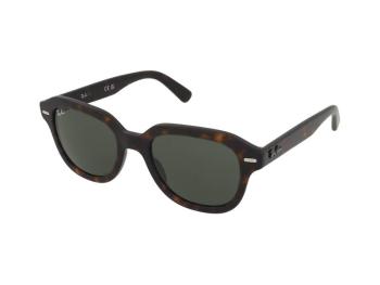 Ray-Ban Erik RB4398 902/31