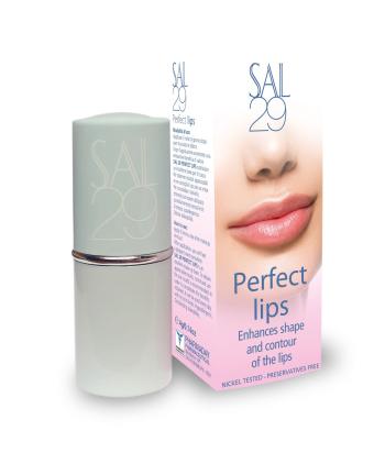 Dermaheal SAL 29 Perfect lips 4g