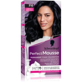 Schwarzkopf Perfect Mousse permanentná farba na vlasy odtieň 210 Icy Black 1 ks