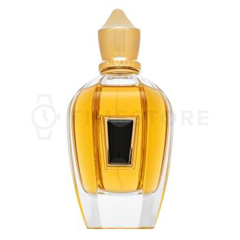Xerjoff 17/17 Homme čistý parfém pre mužov 100 ml - 30 dní na vrátenie tovaru, Garancia originality