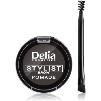 Delia Cosmetics Eyebrow Expert pomáda na obočie odtieň Graphite 4 g