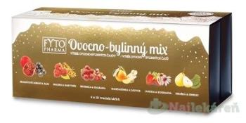 FYTO Ovocno-Bylinný MIX Zimná edícia 6 druhov po 10 vreciek 60x2g(120g)