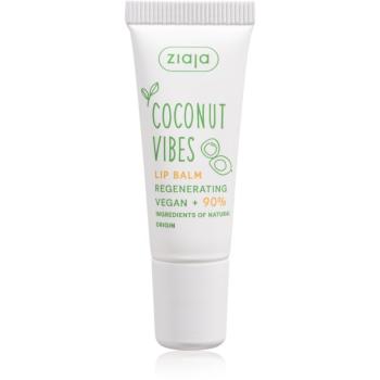 Ziaja Coconut Vibes balzam na pery s regeneračným účinkom 10 ml
