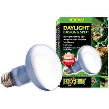 Hagen Žárovka Daylight Basking Spot 100 W (015561221337)