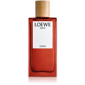 Loewe Solo Cedro Eau de Toilette pentru bărbați 100 ml