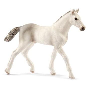 Schleich 13860 - Holštýnske žriebä (4055744021350)