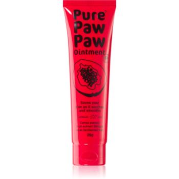 Pure Paw Paw Ointment balzam na pery a suché miesta 25 g