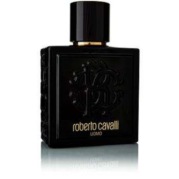 ROBERTO CAVALLI Uomo EdT 100 ml (3614221193952)