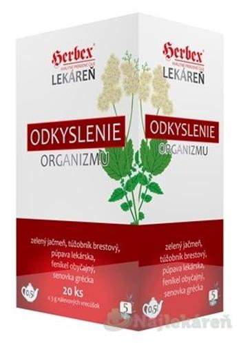 HERBEX Lekáreň ODKYSLENIE organizmu, 20x3g