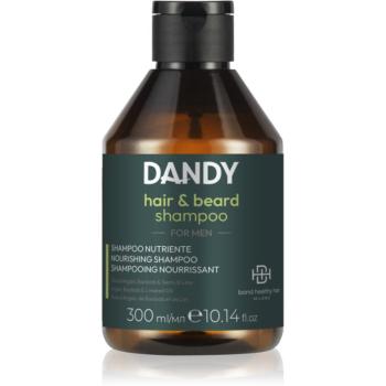 DANDY Beard & Hair Shampoo šampón na vlasy a fúzy 300 ml