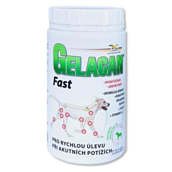 GELACAN Fast 500 g