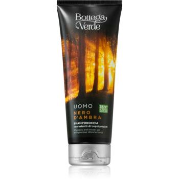 Bottega Verde Black Amber šampón a sprchový gél 2 v 1 200 ml